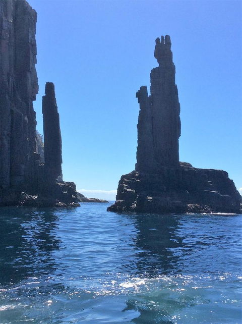 Full-Day Bruny Island Tour From Hobart - Accommodation NT 16