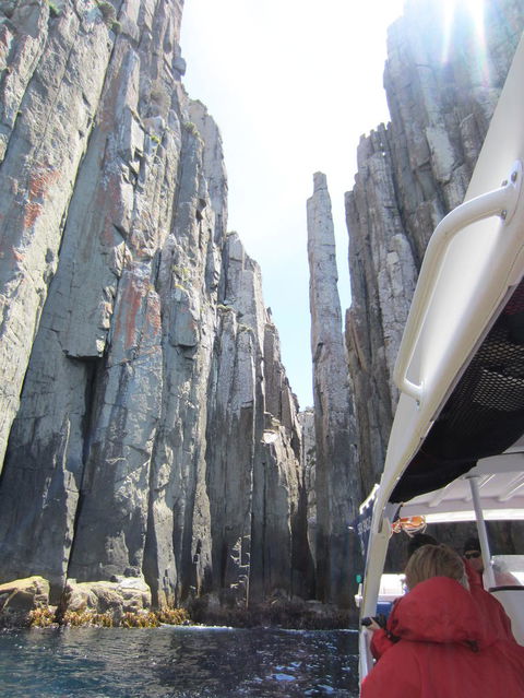 Day Trip To Tasman Peninsula And Port Arthur Historic Site From Hobart - Accommodation NT 8