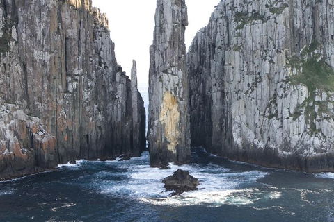 Day Trip To Tasman Peninsula And Port Arthur Historic Site From Hobart - Accommodation NT 0