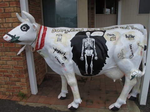 Cradle Mountain National Park Day Tour From Launceston - Accommodation NT 15