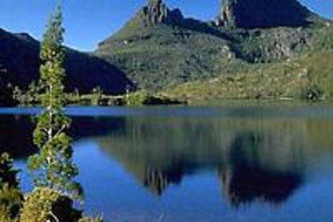 Cradle Mountain National Park Day Tour From Launceston - Accommodation NT 0