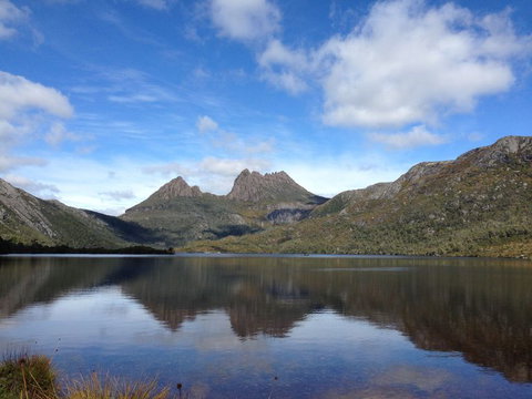 Cradle Mountain National Park Day Tour From Launceston - Accommodation NT 13