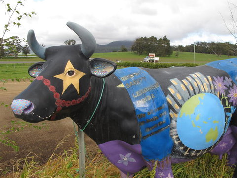 Cradle Mountain National Park Day Tour From Launceston - Accommodation NT 18