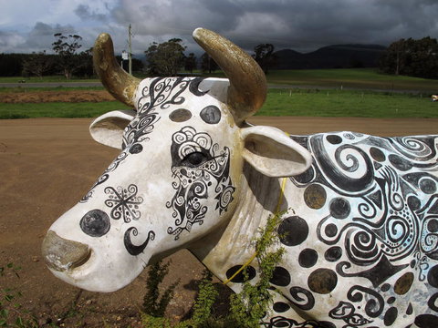 Cradle Mountain National Park Day Tour From Launceston - Accommodation NT 19