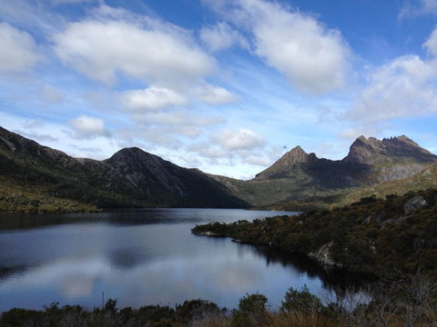 Cradle Mountain National Park Day Tour From Launceston - Accommodation NT 11