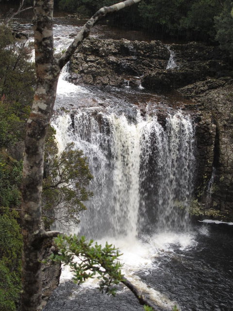 Cradle Mountain National Park Day Tour From Launceston - Accommodation NT 3