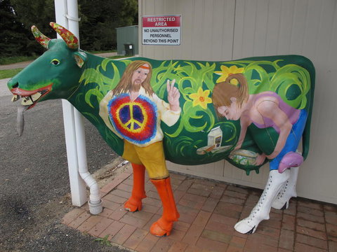 Cradle Mountain National Park Day Tour From Launceston - Accommodation NT 4