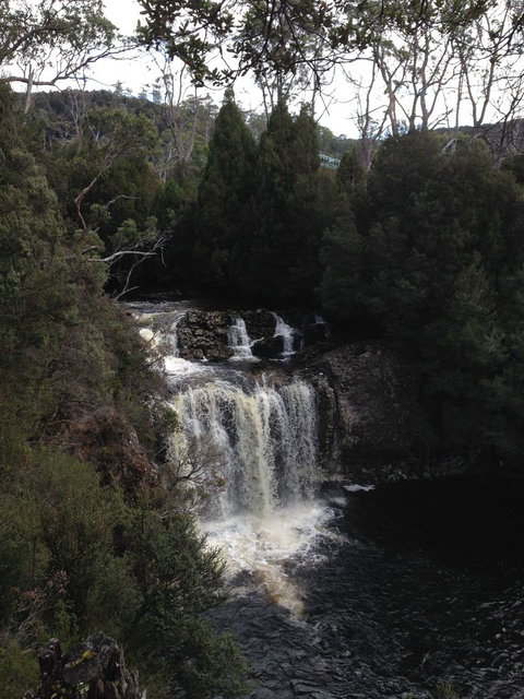 Cradle Mountain National Park Day Tour From Launceston - Accommodation NT 5