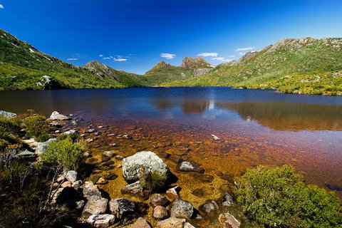 Cradle Mountain National Park Day Tour From Launceston - Accommodation NT 22