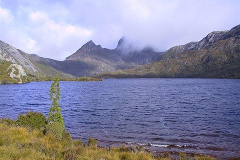 Cradle Mountain National Park Day Tour From Launceston - Accommodation NT 21