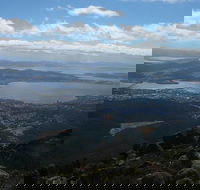 Mount Wellington Tour from Hobart - Accommodation NT