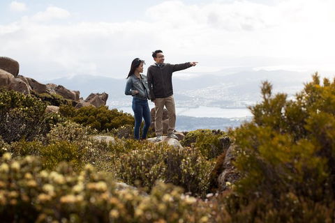 Mount Wellington Tour From Hobart - Accommodation NT 7