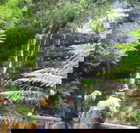 Mt Field National Park and Russell Falls from Hobart - Accommodation NT
