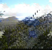 Huon Valley and Tahune Forest Airwalk Tour from Hobart - Accommodation NT