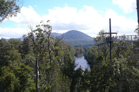 Huon Valley And Tahune Forest Airwalk Tour From Hobart - Accommodation NT 0
