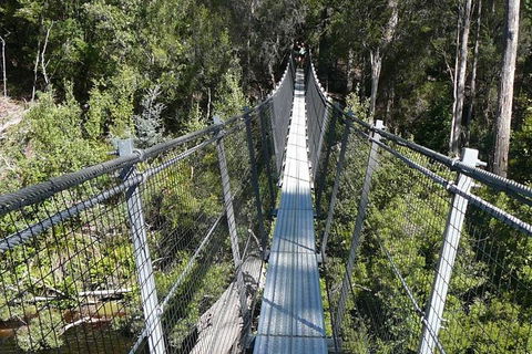 Huon Valley And Tahune Forest Airwalk Tour From Hobart - Accommodation NT 1