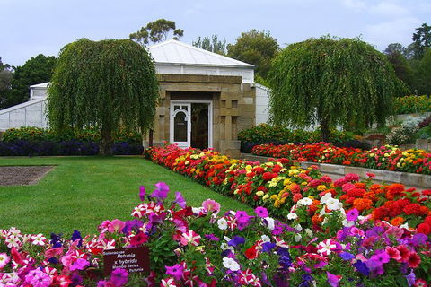 Hobart Shore Excursion: Half-Day City Tour - Accommodation NT 1