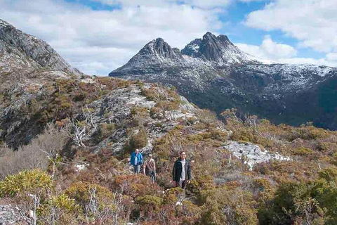 5-Day Tasmania West Coast Camping Tour: Hobart To Launceston Including Mount Field National Park, Tarkine And Cradle Mountain - Accommodation NT 0