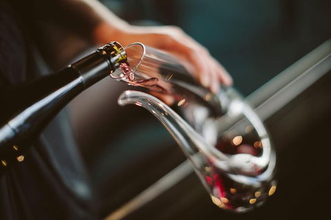 Private Moorilla Estate Tour Including Cellar Door Tasting Of Vintage Wines - Accommodation NT 1