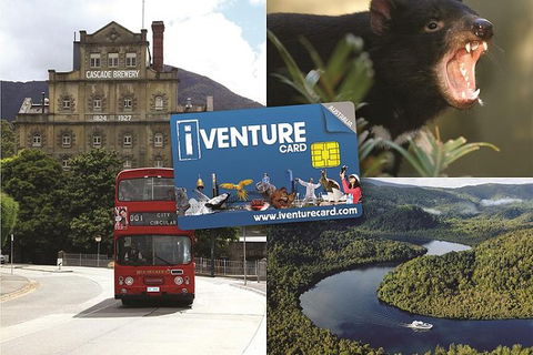 Tasmania Sightseeing Pass: Flexi 3 Pass - Accommodation NT 0