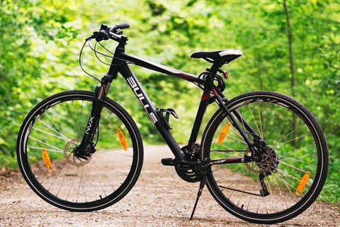 Hobart Shore Excursion: Small Group Mount Wellington 3-Hour Bike Tour - Accommodation NT 1