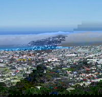 Hobart Shore Excursion Small Group Mount Wellington 3-Hour Bike Tour - Accommodation NT