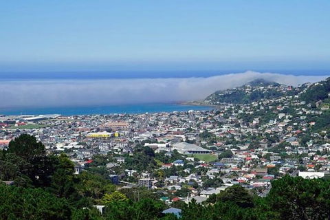 Hobart Shore Excursion: Small Group Mount Wellington 3-Hour Bike Tour - Accommodation NT 0