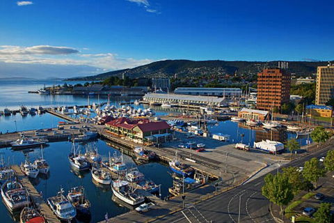 Hobart Shore Excursion: Small Group Mount Wellington 3-Hour Bike Tour - Accommodation NT 6