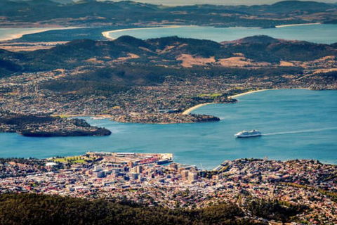 Hobart Shore Excursion: Small Group Mount Wellington 3-Hour Bike Tour - Accommodation NT 3