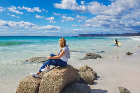 Wineglass Bay & Freycinet NP Full Day Tour From Hobart Via Richmond Village - Accommodation NT 6