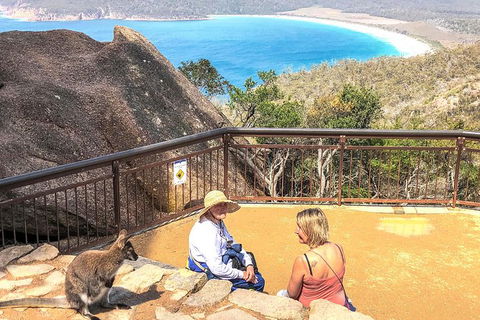 Wineglass Bay & Freycinet NP Full Day Tour From Hobart Via Richmond Village - Accommodation NT 7