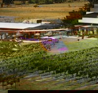 Home Hill Winery Helicopter Tour - Accommodation NT