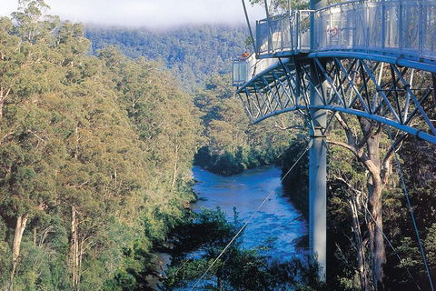 Small-groupTour From Hobart: Mt. Wellington, Huon Valley And Tahune AirWalk - Accommodation NT 0