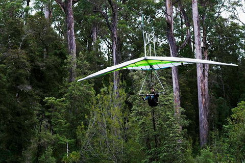 Small-groupTour From Hobart: Mt. Wellington, Huon Valley And Tahune AirWalk - Accommodation NT 4