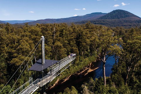 Small-groupTour From Hobart: Mt. Wellington, Huon Valley And Tahune AirWalk - Accommodation NT 8
