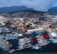 Private City Sights Half Day Trip from Hobart - Accommodation NT
