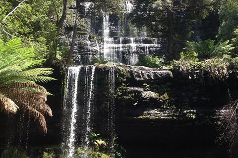 Private Mt Field National Park Day Trip From Hobart Including Salmon Ponds And Bonorong Wildlife Sanctuary - Accommodation NT 0