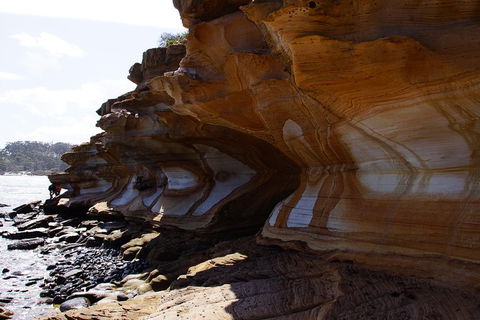 Maria Island National Park - Day Walk And Picnic Lunch - Accommodation NT 17