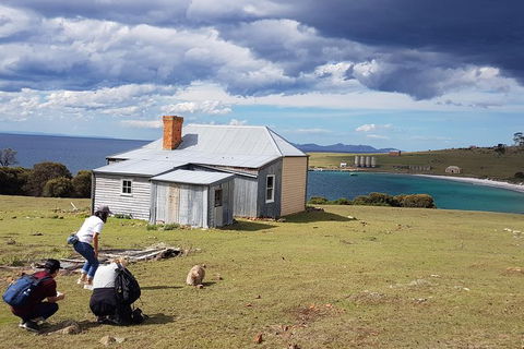 Maria Island National Park - Day Walk And Picnic Lunch - Accommodation NT 16
