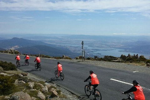 Mount Wellington Descent Cycling Tour Departs Hobart - Accommodation NT 7