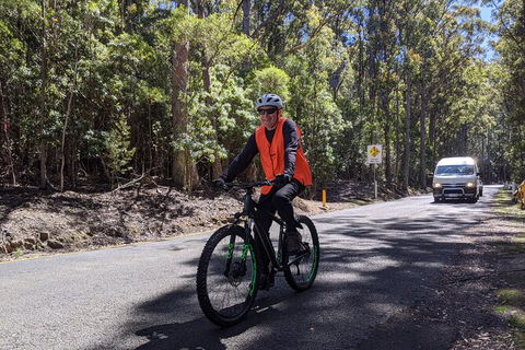 Mount Wellington Descent Cycling Tour Departs Hobart - Accommodation NT 10
