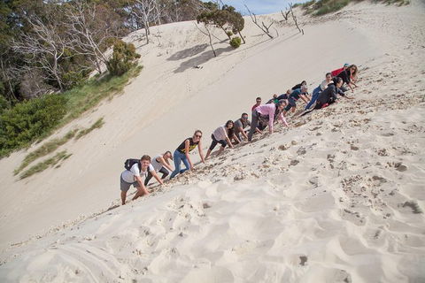 3 Day Tasmanian Wild West Coast Tour From Hobart To Launceston - Accommodation NT 8