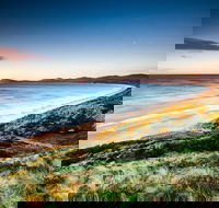 Full-Day Guided Bruny Island Tour from Hobart - Accommodation NT