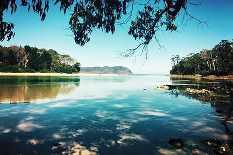 Full-Day Guided Bruny Island Tour From Hobart - Accommodation NT 1