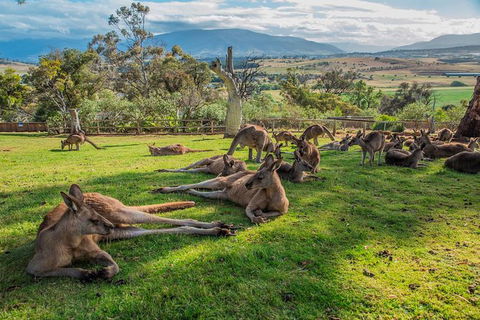 2 Day - Two Of Tasmania's Best Tour - Accommodation NT 1
