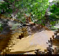 Wilderness and Wildlife - Accommodation NT