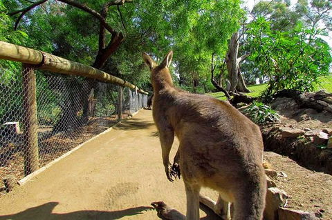 Wilderness And Wildlife - Accommodation NT 0