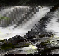 Mt Field National Park premium private photo-oriented day tour from Hobart - Accommodation NT