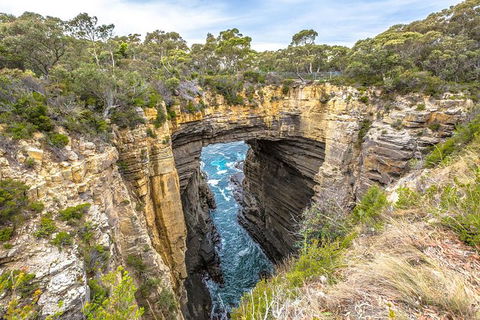 Port Arthur Historic Site And Nature - Accommodation NT 1
