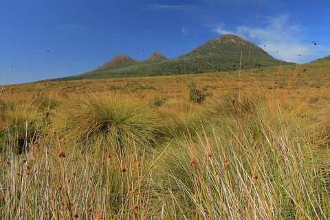 Lake St. Clair And Western Wilderness Active Day Trip From Hobart - Accommodation NT 11